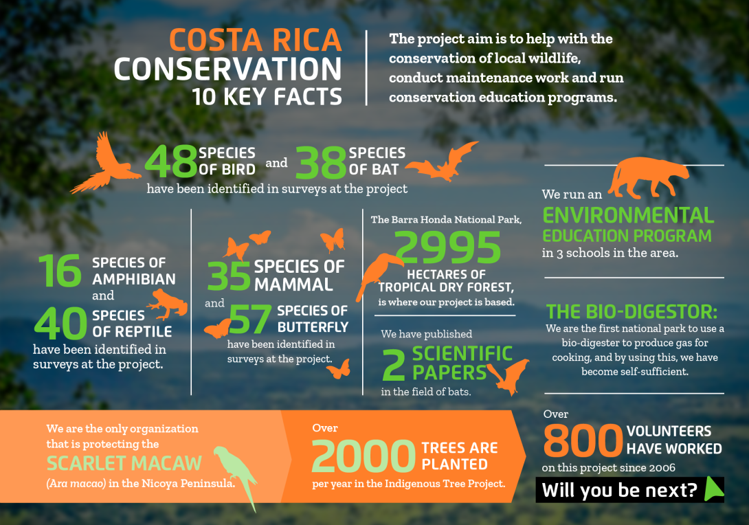 The impact you will make on the conservation volunteer project in Costa Rica with projects abroad Interesting facts about conservation volunteering in Costa Rica with projects abroad